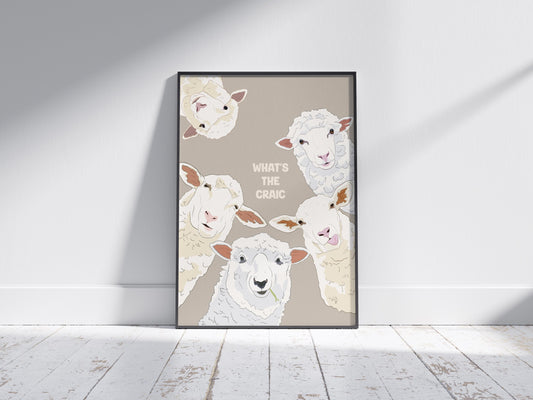 Funny Sheep Print: Irish 'What's the Craic' Wall Art