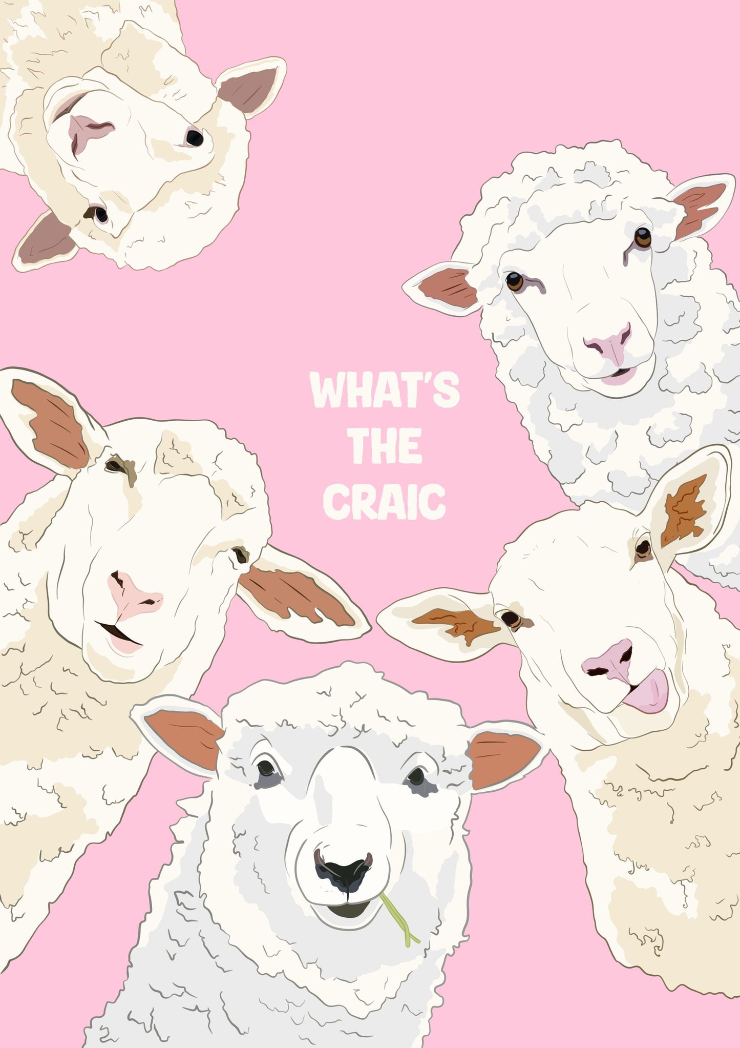 Funny Sheep Print: Irish 'What's the Craic' Wall Art