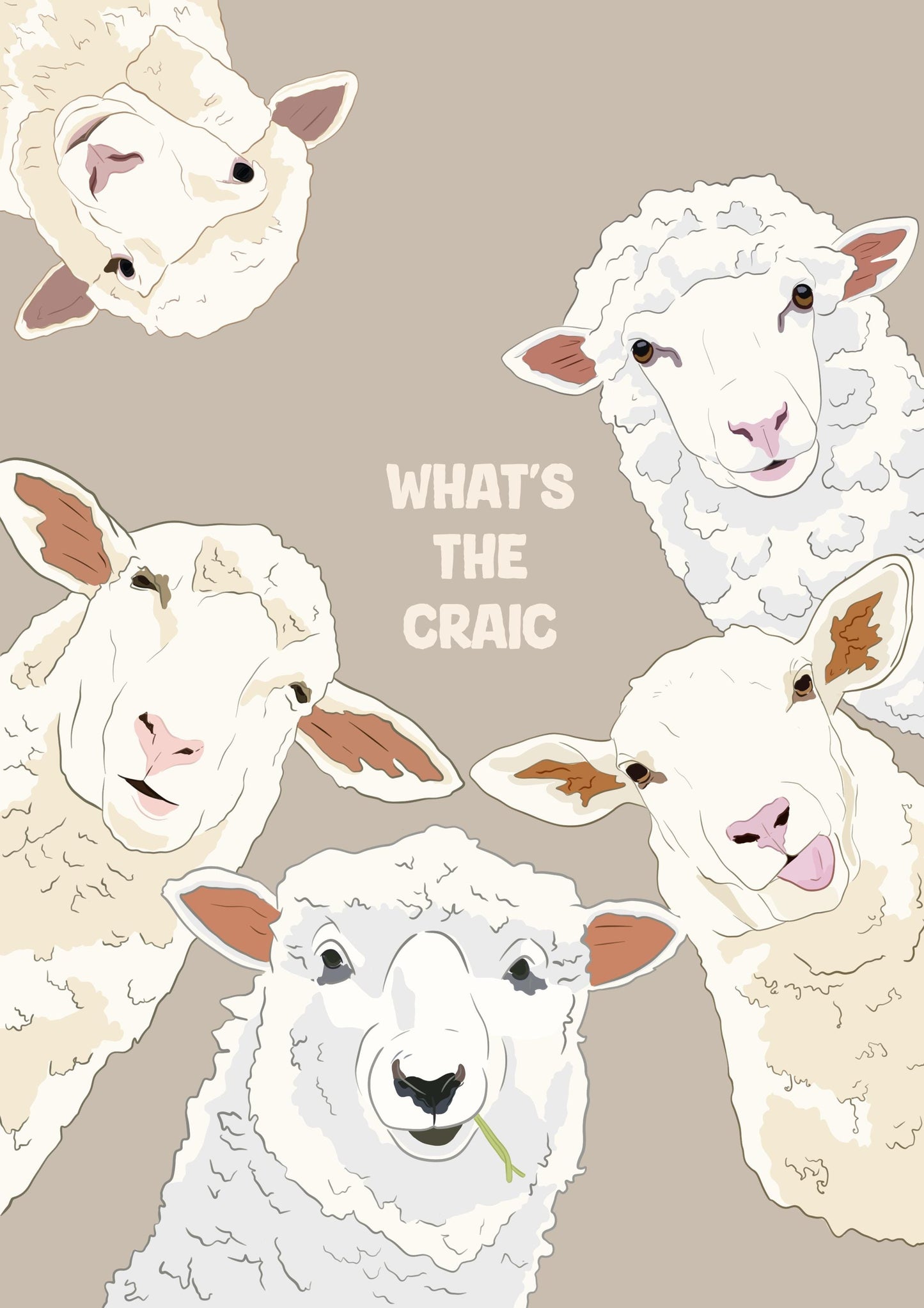 Funny Sheep Print: Irish 'What's the Craic' Wall Art
