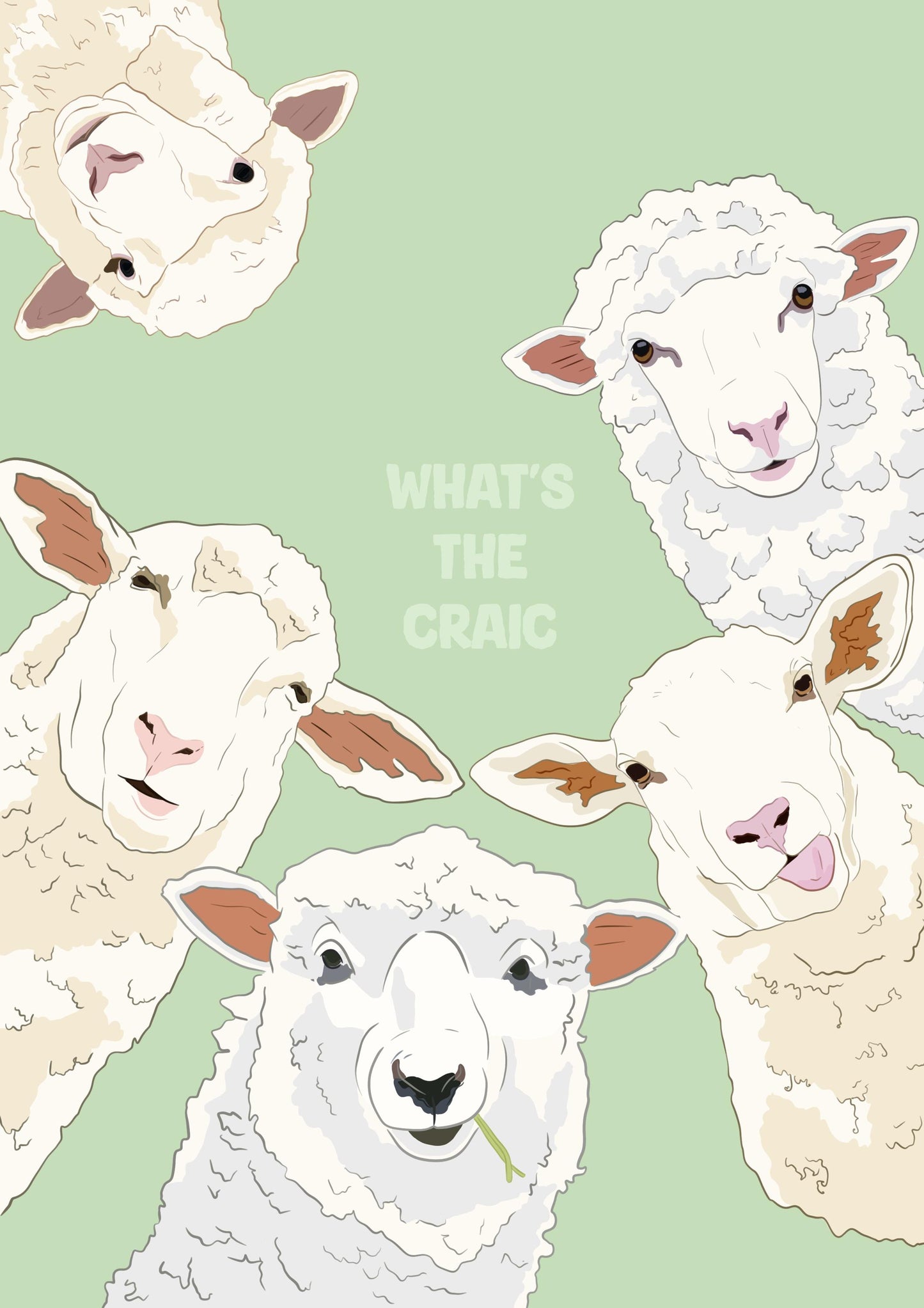 Funny Sheep Print: Irish 'What's the Craic' Wall Art
